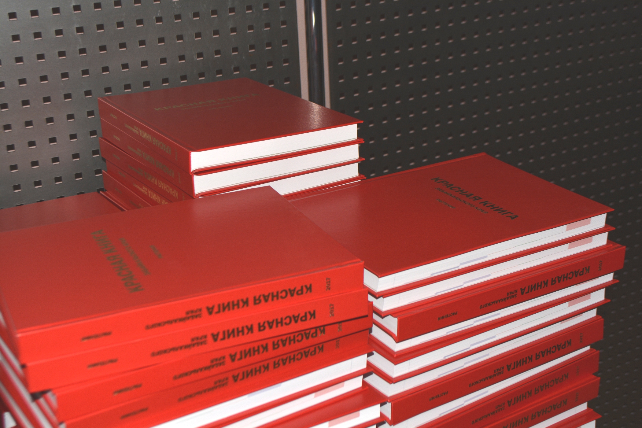 Красная книга Забайкальского края фото пресс-службы Минприроды Забайкалья